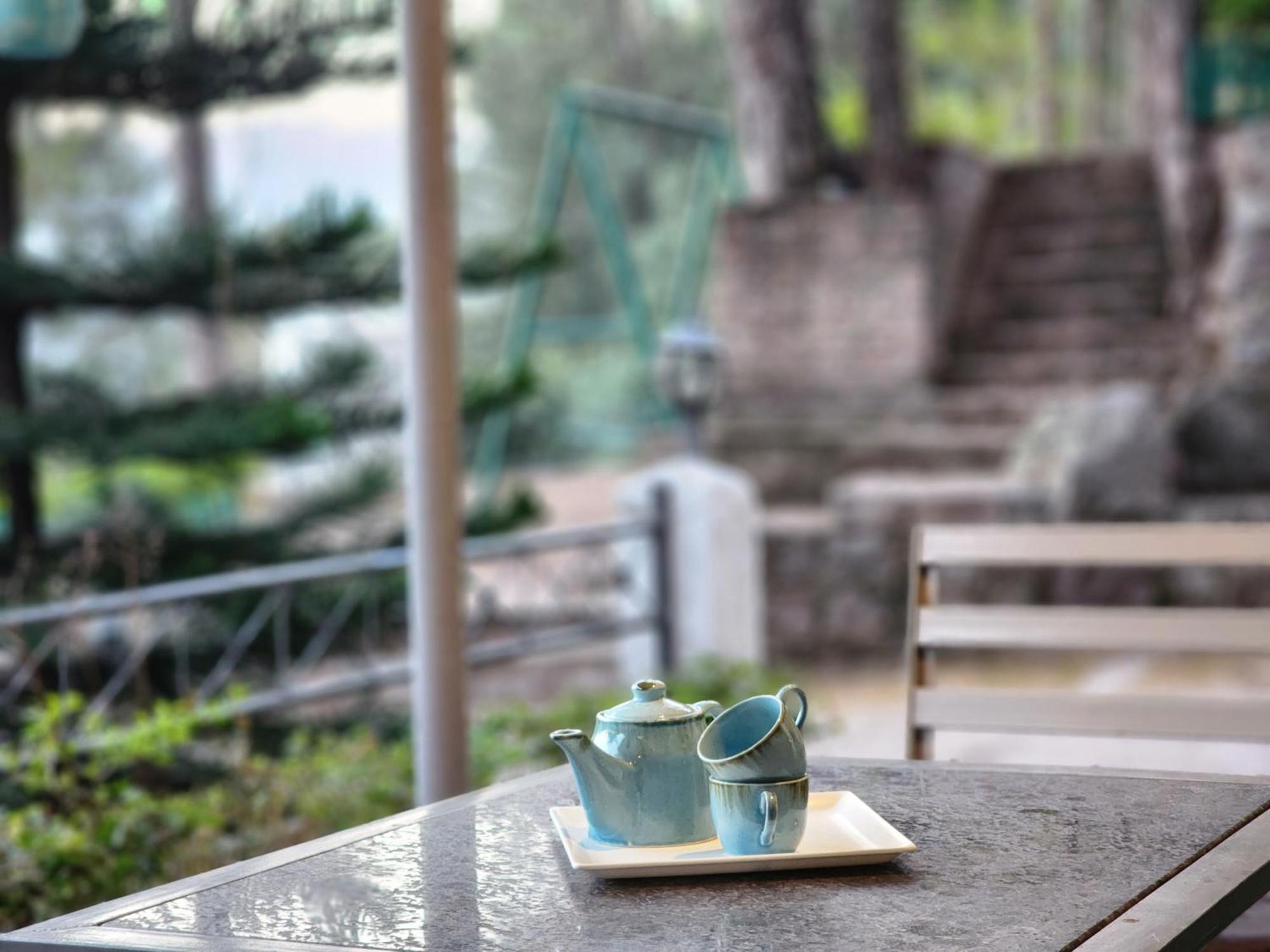 Pine Valley Resort 카사울리 외부 사진