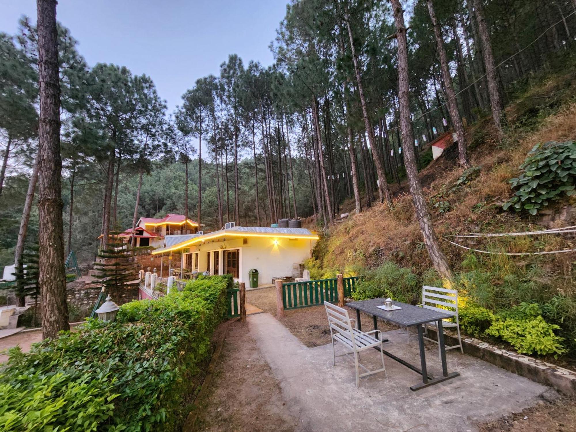 Pine Valley Resort 카사울리 외부 사진