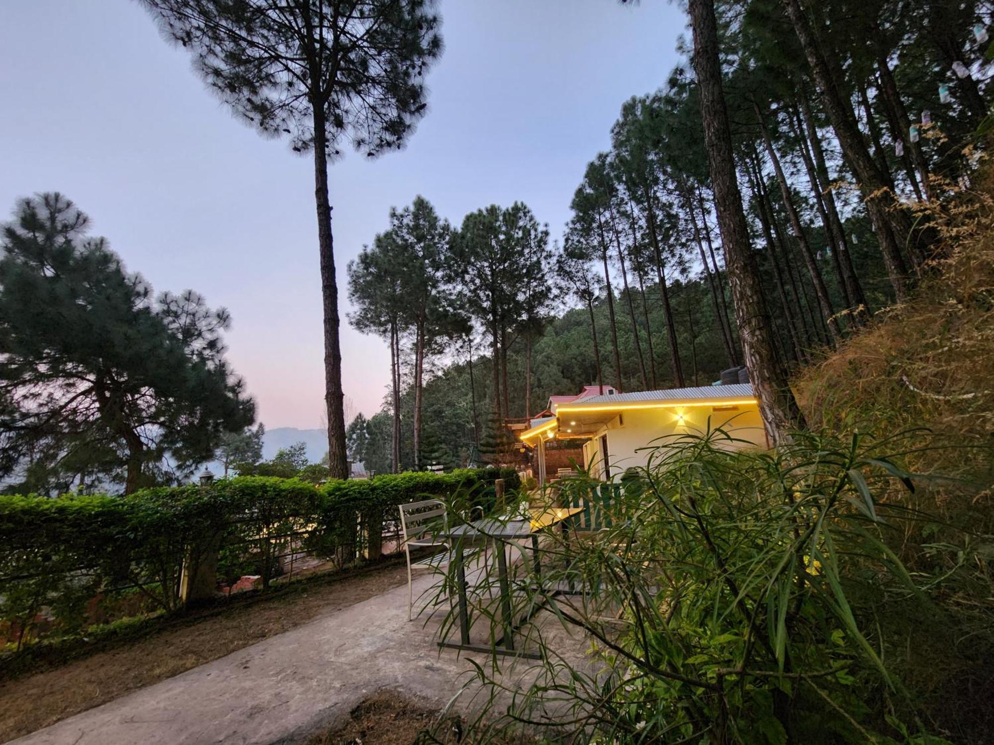 Pine Valley Resort 카사울리 외부 사진